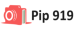 PIP 919